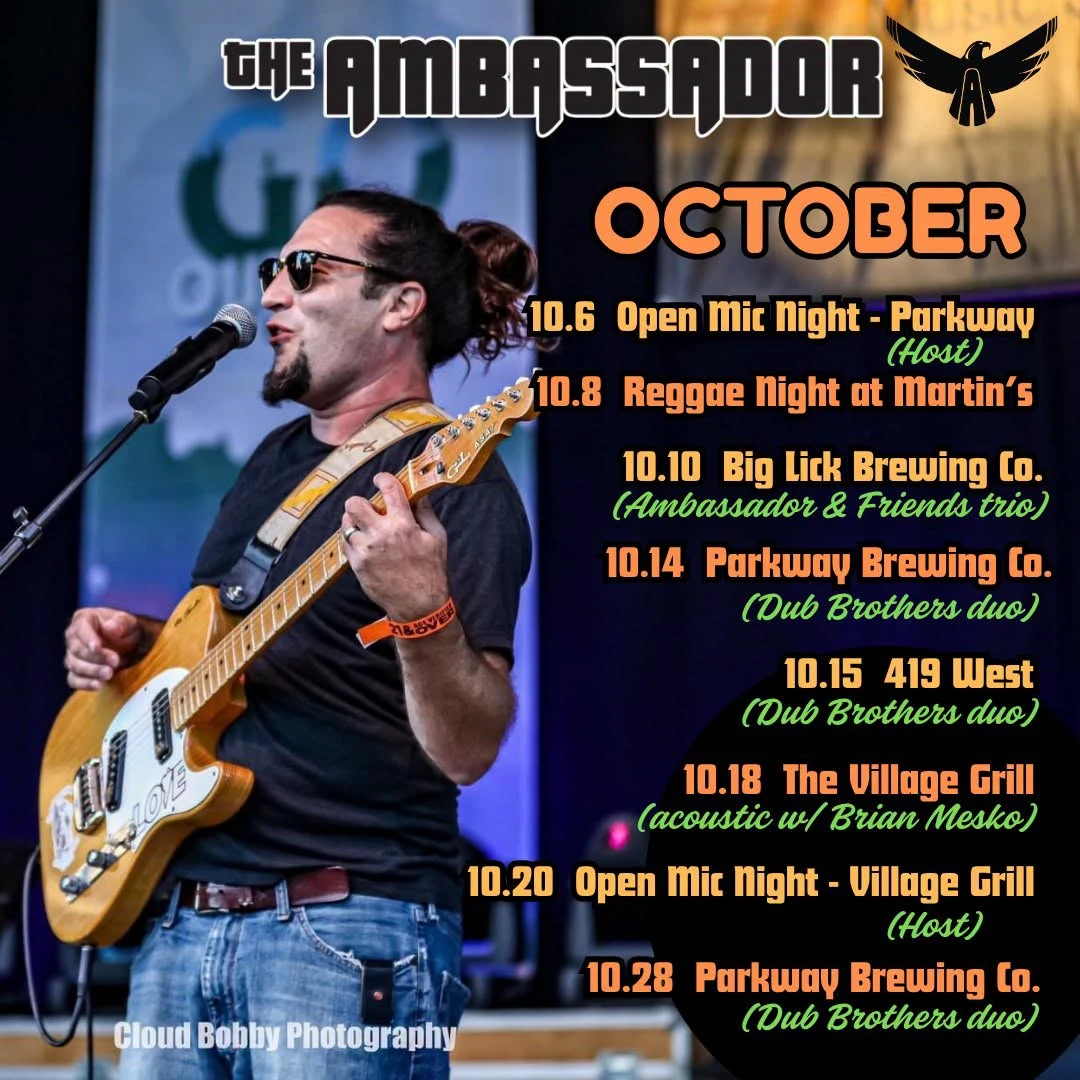 The Dub Brothers Live at Parkway Brewing in Salem | Virginia Reggae